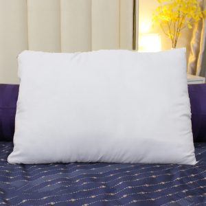 Ruột gối ép Olympia