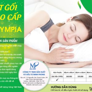 Ruột gối ép Olympia - Ảnh 11