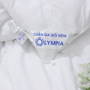 Ruột chăn Olympia xuất khẩu Micro Fiber loại dày - Ảnh 4
