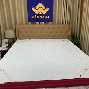 Tấm bảo vệ đệm đa năng Olympia 2 trong 1 - Ảnh 5