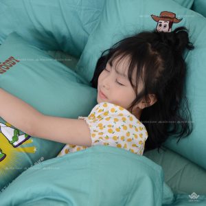 Chăn ga gối Sông Hồng Youth YC20001 - Ảnh 12