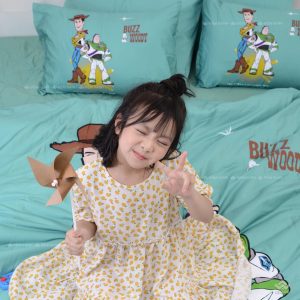 Chăn ga gối Sông Hồng Youth YC20001 - Ảnh 13