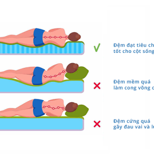 Đệm Foam Olympia Aiko - Ảnh 3