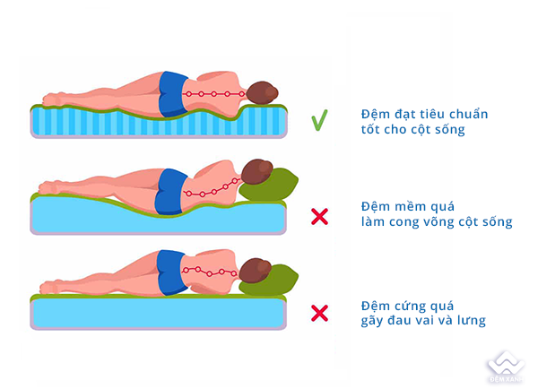 Đệm Foam Olympia Aiko - Ảnh 3
