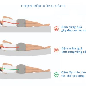 Đệm Foam cao cấp Olympia Tokyo - Ảnh 12