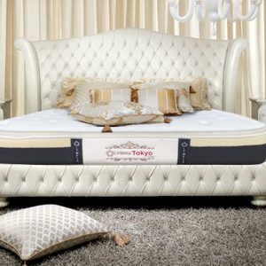 Đệm Foam cao cấp Olympia Tokyo - Ảnh 15