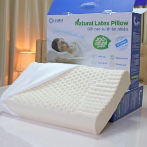 Gối cao su Olympia Contour Massage 3 vùng 40x60cm