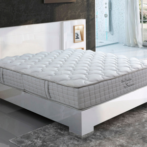 Đệm Sông Hồng Back Essential cao cấp gập 2 (Hot) - Ảnh 13