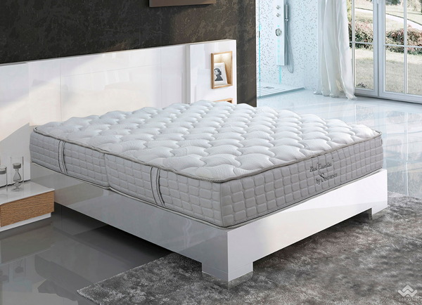 Đệm Sông Hồng Back Essential cao cấp gập 2 (Hot) - Ảnh 13