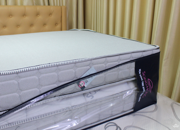 Đệm Sông Hồng Back Essential cao cấp gập 2 (Hot) - Ảnh 3