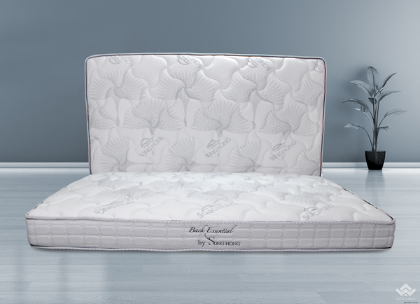 Đệm Sông Hồng Back Essential cao cấp gập 2 (Hot) - Ảnh 6