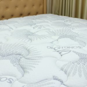 Đệm Sông Hồng Back Essential cao cấp gập 2 (Hot) - Ảnh 7