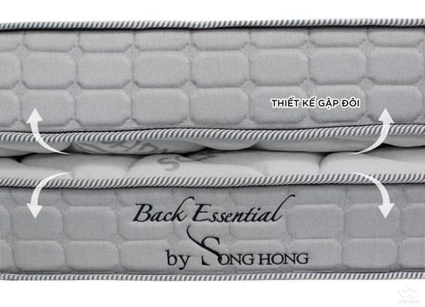 Đệm Sông Hồng Back Essential cao cấp gập 2 (Hot) - Ảnh 9