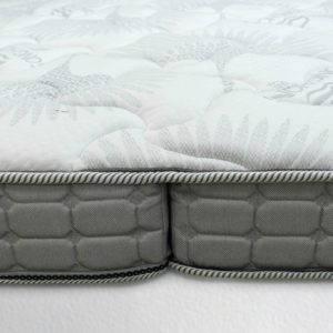 Đệm Sông Hồng Back Essential cao cấp gập 2 (Hot) - Ảnh 12