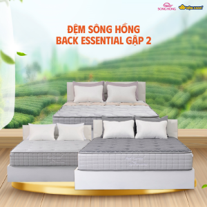 Đệm Sông Hồng Back Essential cao cấp gập 2 (Hot) - Ảnh 8