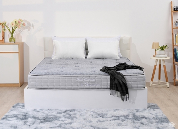 Đệm Sông Hồng Back Essential cao cấp gập 2 (Hot) - Ảnh 2