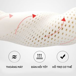 Gối ôm cao su Olympia Bigo - Ảnh 19