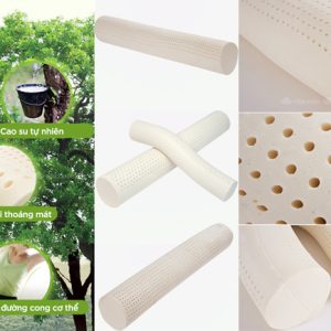 Gối ôm cao su Olympia Bigo - Ảnh 20