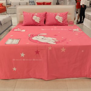 Chăn ga gối Sông Hồng Junior JC22001