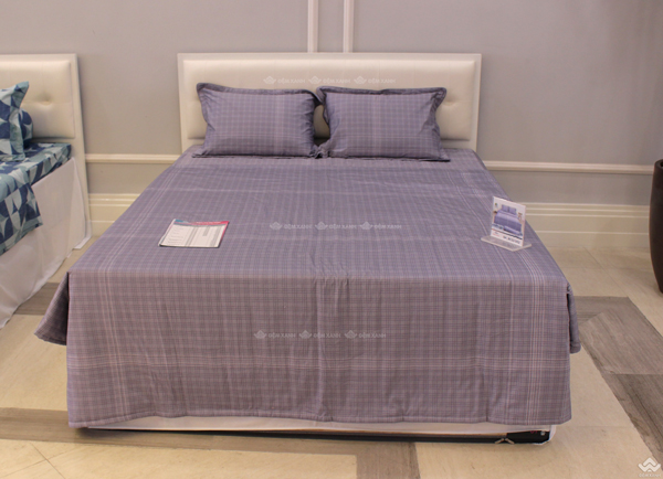 Chăn ga gối Sông Hồng Basic cotton BC22052 - Ảnh 2