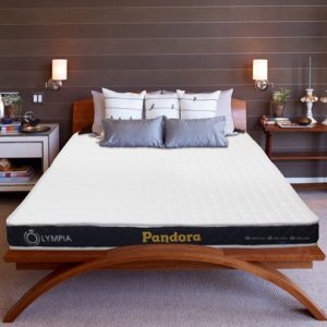Đệm Foam Olympia Pandora gập 2 - Ảnh 8