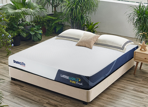 Đệm cao su Dunlopillo Latex World Pure Fresh 20cm - Ảnh 5