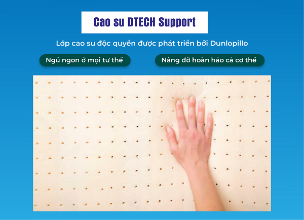 Đệm cao su Dunlopillo Latex World Eco Fresh 25cm - Ảnh 4