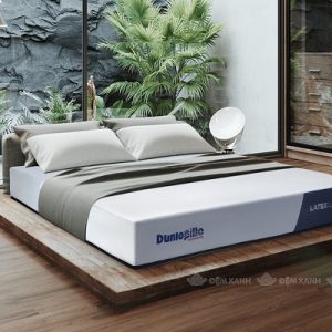 Đệm cao su Dunlopillo Latex World Eco Fresh 25cm - Ảnh 8