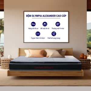 Đệm Bông Ép Olympia Alexander – Lõi Bông Ép 18cm + Topper Memory Foam 5cm Cao Cấp - Ảnh 3