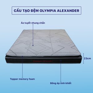 Đệm Bông Ép Olympia Alexander – Lõi Bông Ép 18cm + Topper Memory Foam 5cm Cao Cấp - Ảnh 5