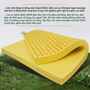 Alternative view of Đệm cao su Olympia AQUA massage (đệm cao su thiên nhiên 100%)