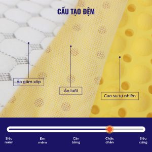 Đệm cao su Olympia AQUA massage (đệm cao su thiên nhiên 100%) - Ảnh 3