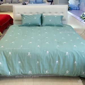 Chăn ga gối Sông Hồng Basic cotton BC24104 - Ảnh 4