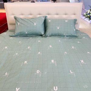 Chăn ga gối Sông Hồng Basic cotton BC24104 - Ảnh 6