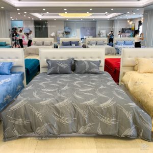 Chăn ga gối Sông Hồng Basic cotton BC24101 - Ảnh 3