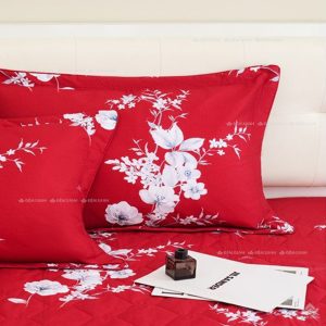 Chăn ga gối Sông Hồng Basic cotton BC24105 - Ảnh 3