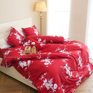 Chăn ga gối Sông Hồng Basic cotton BC24105 - Ảnh 4
