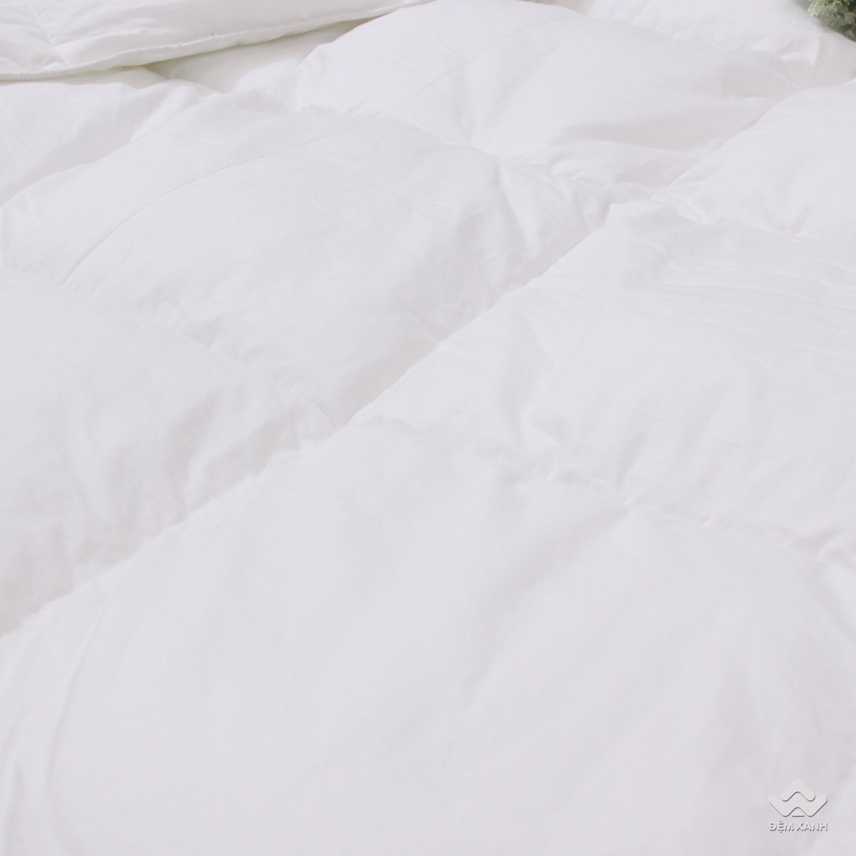 Ruột chăn lông vũ Nhật Bản Misuko Perfect - Ảnh 10