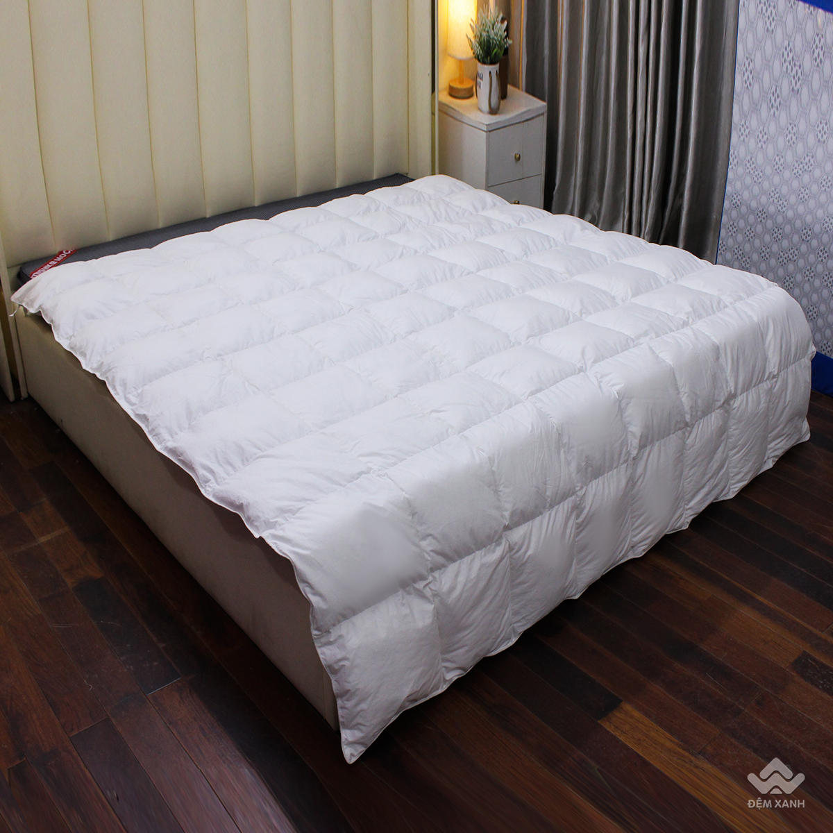 Ruột chăn lông vũ Nhật Bản Misuko Perfect - Ảnh 5