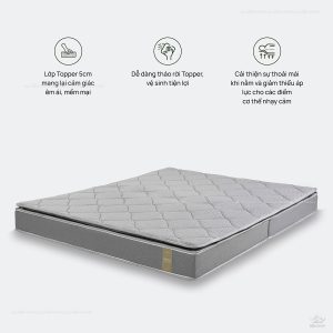 Đệm bông ép Everon Top Plus New gập 2 - Ảnh 6