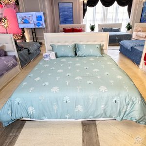 Ga gối Sông Hồng Basic cotton BC25114