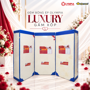 Đệm Bông Ép Olympia Luxury Gấm Xốp Cao Cấp Gập 3 Chính Hãng, Bảo Hành 9 Năm