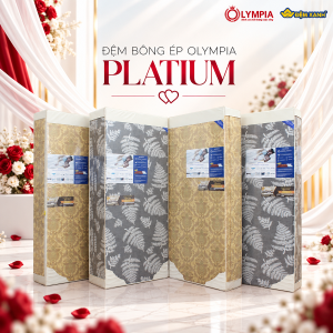Đệm bông ép Olympia Platium (Lõi bông tinh khiết - Đệm cứng không xẹp lún, Bảo hành 7 năm)