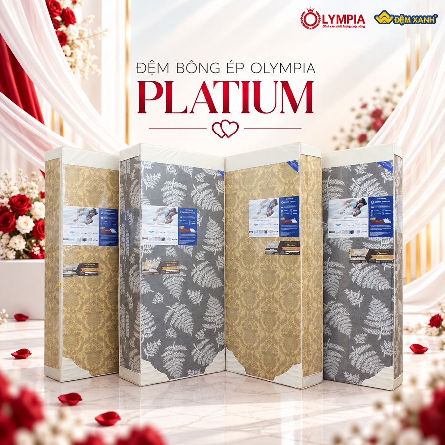 Đệm bông ép Olympia Platium (Lõi bông tinh khiết - Đệm cứng không xẹp lún, Bảo hành 7 năm)
