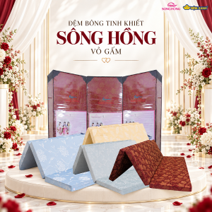 Đệm bông tinh khiết Sông Hồng vỏ gấm