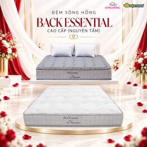 Đệm Sông Hồng Back Essential cao cấp nguyên tấm