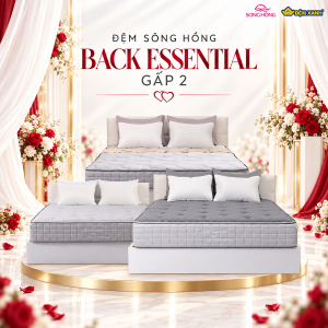 Đệm Sông Hồng Back Essential cao cấp gập 2 (Hot)