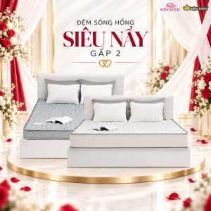 Đệm bông tinh khiết Sông Hồng thế hệ 3