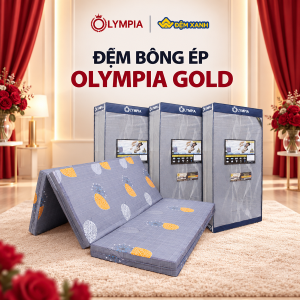 Đệm bông ép Olympia Gold (Lõi bông tinh khiết - Đệm cứng không lún, Bảo hành 5 năm)
