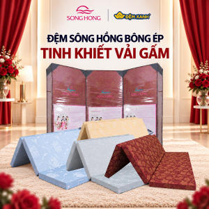 Đệm bông tinh khiết Sông Hồng vỏ gấm
